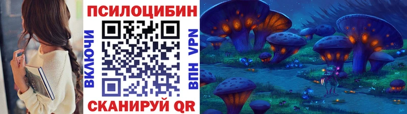 kraken вход Луза Галлюциногенные грибы MAGIC MUSHROOMS купить наркотик