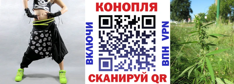 Каннабис сатива  Луза 